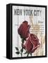 New York Roses-Alicia Soave-Framed Stretched Canvas