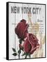 New York Roses-Alicia Soave-Framed Stretched Canvas
