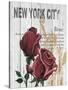 New York Roses-Alicia Soave-Stretched Canvas