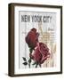 New York Roses-Alicia Soave-Framed Art Print