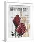 New York Roses-Alicia Soave-Framed Art Print