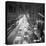 New York's 42nd Street-null-Stretched Canvas