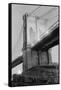 New York's Brooklyn Bridge at Night-Philip Gendreau-Framed Stretched Canvas