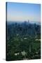 New York's Central Park-null-Stretched Canvas