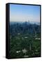 New York's Central Park-null-Framed Stretched Canvas