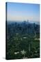 New York's Central Park-null-Stretched Canvas