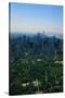New York's Central Park-null-Stretched Canvas