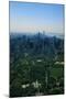 New York's Central Park-null-Mounted Photographic Print