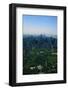 New York's Central Park-null-Framed Photographic Print