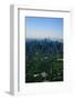 New York's Central Park-null-Framed Photographic Print