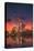 New York Skyline at Night-null-Stretched Canvas