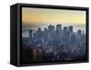 New York Skyline, January 2002-null-Framed Stretched Canvas