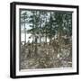 New York State (United States), Trappers at Blue Mountain Lake, 1872-Leon, Levy et Fils-Framed Photographic Print