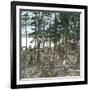 New York State (United States), Trappers at Blue Mountain Lake, 1872-Leon, Levy et Fils-Framed Photographic Print