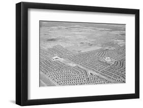 New York Suburb of Levittown-null-Framed Photographic Print