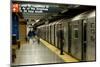 New York Subway-Tashka-Mounted Photographic Print