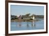 New York, Thousand Islands. Home with lighthouse on tiny island.-Cindy Miller Hopkins-Framed Photographic Print