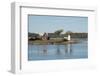 New York, Thousand Islands. Home with lighthouse on tiny island.-Cindy Miller Hopkins-Framed Photographic Print