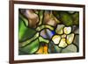 New York, Tiffany stained glass lamp shade.-Cindy Miller Hopkins-Framed Photographic Print