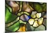 New York, Tiffany stained glass lamp shade.-Cindy Miller Hopkins-Mounted Photographic Print