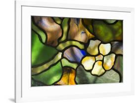 New York, Tiffany stained glass lamp shade.-Cindy Miller Hopkins-Framed Premium Photographic Print