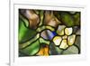 New York, Tiffany stained glass lamp shade.-Cindy Miller Hopkins-Framed Premium Photographic Print