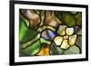 New York, Tiffany stained glass lamp shade.-Cindy Miller Hopkins-Framed Premium Photographic Print