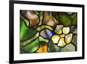 New York, Tiffany stained glass lamp shade.-Cindy Miller Hopkins-Framed Premium Photographic Print