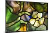 New York, Tiffany stained glass lamp shade.-Cindy Miller Hopkins-Mounted Photographic Print