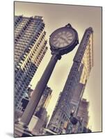 New York Time-Assaf Frank-Mounted Giclee Print