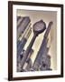 New York Time-Assaf Frank-Framed Giclee Print