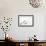 New York, USA. Chinese Mantis.-Karen Ann Sullivan-Framed Photographic Print displayed on a wall