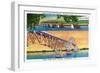 New York - View of Grand Island North and South Bridges-Lantern Press-Framed Art Print