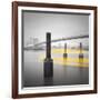 New York Water Taxi-Moises Levy-Framed Photographic Print