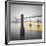 New York Water Taxi-Moises Levy-Framed Photographic Print