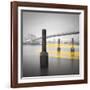 New York Water Taxi-Moises Levy-Framed Photographic Print