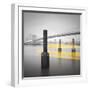 New York Water Taxi-Moises Levy-Framed Photographic Print