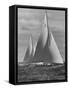 New York Yacht Club Races-Walter Sanders-Framed Stretched Canvas