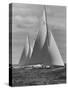 New York Yacht Club Races-Walter Sanders-Stretched Canvas