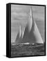 New York Yacht Club Races-Walter Sanders-Framed Stretched Canvas