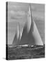 New York Yacht Club Races-Walter Sanders-Stretched Canvas