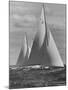 New York Yacht Club Races-Walter Sanders-Mounted Photographic Print