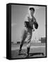 New York Yankee Joe DiMaggio in the Field-Carl Mydans-Framed Stretched Canvas