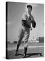 New York Yankee Joe DiMaggio in the Field-Carl Mydans-Stretched Canvas