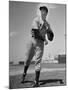 New York Yankee Joe DiMaggio in the Field-Carl Mydans-Mounted Premium Photographic Print