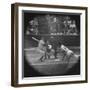 New York Yankees Player Mickey Mantle, Batting During Game-null-Framed Premium Photographic Print