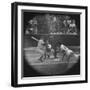 New York Yankees Player Mickey Mantle, Batting During Game-null-Framed Premium Photographic Print