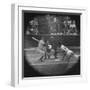 New York Yankees Player Mickey Mantle, Batting During Game-null-Framed Premium Photographic Print