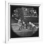 New York Yankees Player Mickey Mantle, Batting During Game-null-Framed Premium Photographic Print