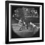 New York Yankees Player Mickey Mantle, Batting During Game-null-Framed Premium Photographic Print